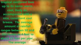 Tropical Rainforest Biome - Stop Motion Video