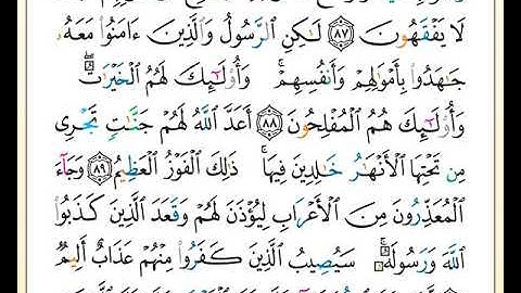 ختمة تلاوة لمصحف التجويد بصوت القارئ محمد حبش الصفحة رقم 201