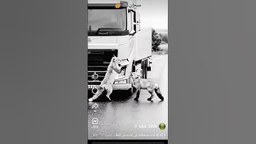 سبحان الله ♥ #تلاوة_خاشعة #تلاوة_مؤثرة #إسلام_صبحي #حالات_واتساب #صوت_يريح_القلب #حالات_واتس #قرآن