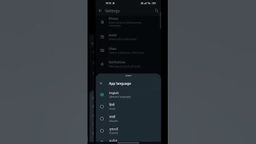 How To Change LanguageIn WhatsApp || WhatsSAppLanguage Change Kaise Kra ?#shorts #youtubeshorts
