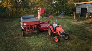 How to HARVEST PECANS! Behind the scenes