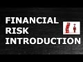 Financial Risk | Introduction Financial Risk Analytics | FRM | Financial Analytics