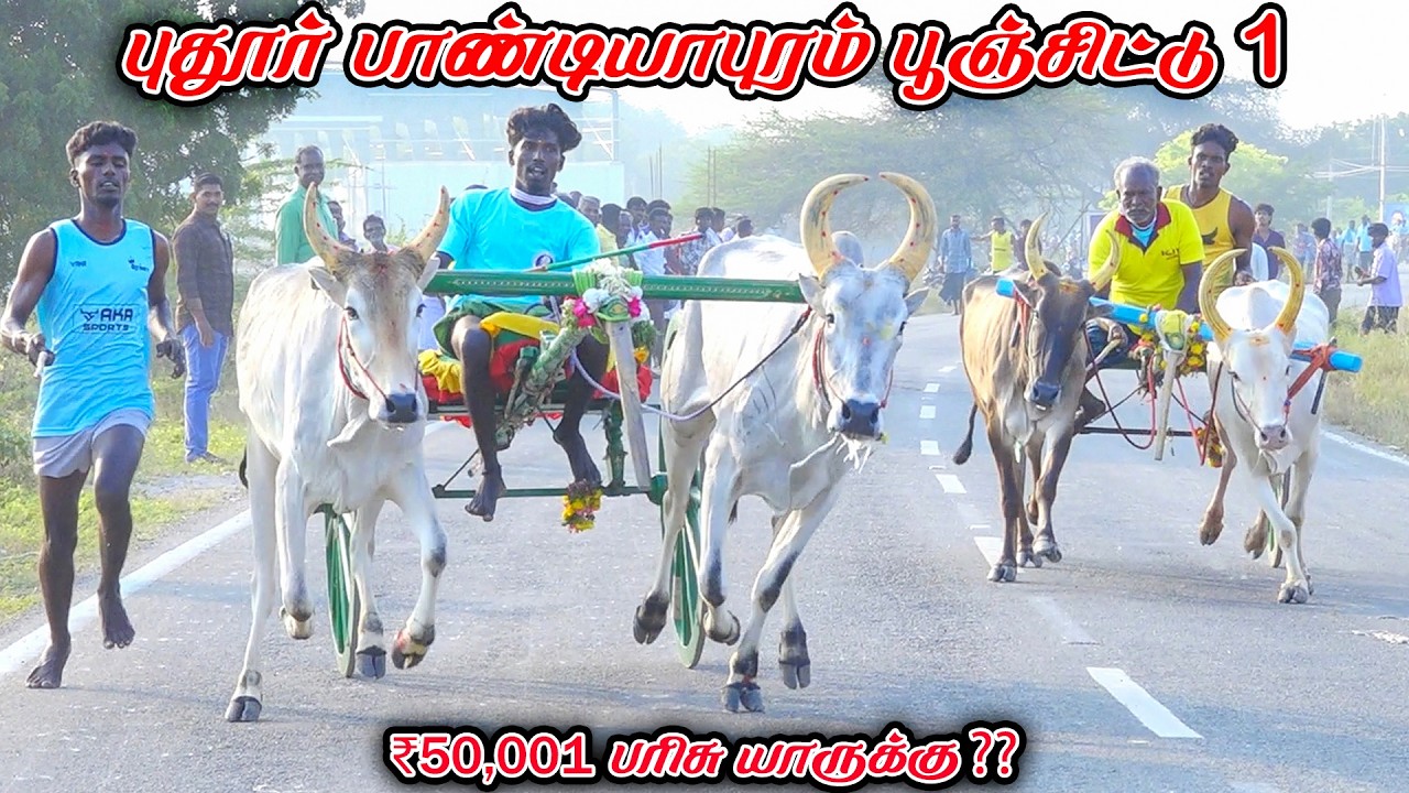 1புதூர்பாண்டியாபுரம்-பூஞ்சிட்டு-பந்தயம்_28.02.2026_V_Photography