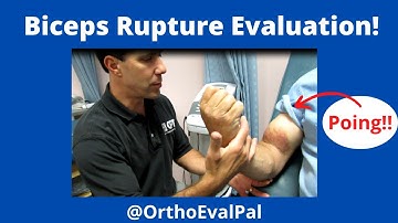 Biceps  Rupture Evaluation Video (long head biceps tear)