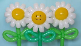 Cheerful daisy flower of balloons (Subtitles)