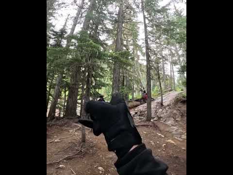Wet rock slab