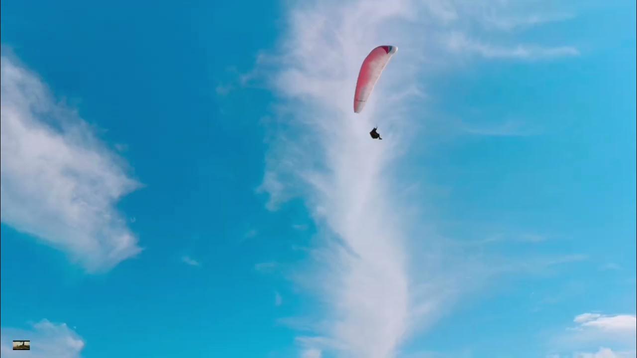 NEIKED\ PORTUGAL. The Man Glide. NEIKED\ PORTUGAL. The Man Glide.