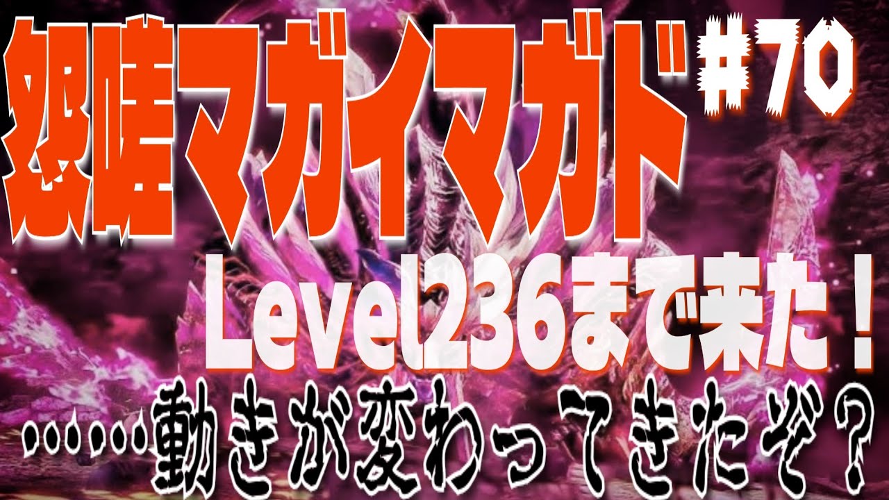 【ソロ】【初見】【太刀】モンスターハンターライズサンブレイク　#70　きたよ！２３７！