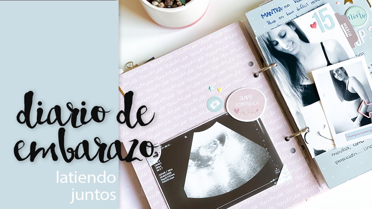 Diario de Embarazo de Scrapbooking, NUNUSITE