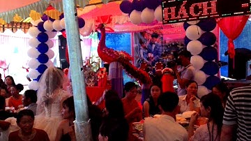 MC Phan Đức Thuần dẫn đám cưới 1