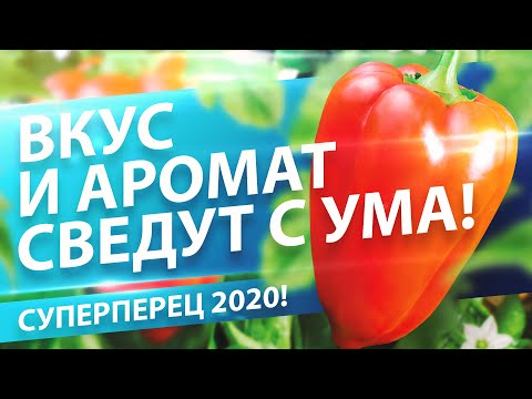 КАКОЙ ПЕРЕЦ ПОСЕЯТЬ НА РАССАДУ В 2020?