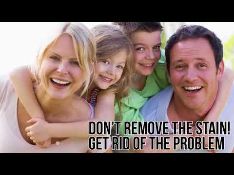 Prime Mold removal Brooklyn NYC