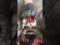 モーターから銅線だけを取り出す