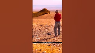 #القرآن_الكريم #تلاوة_مميزة #تلاوات_خاشعة #قرآن_كريم #ماهر_المعيقلي #راحة_نفسية