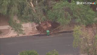 Tree uprooted at 6th St. and Grand