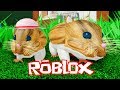 Little Hamster Simulator In Roblox!