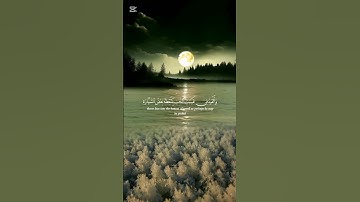 #قرآن #اكسبلور #المصحف #الرحمن #تلاوة_خاشعة #shortvideo #دويتو #لايك #duet #القزابري