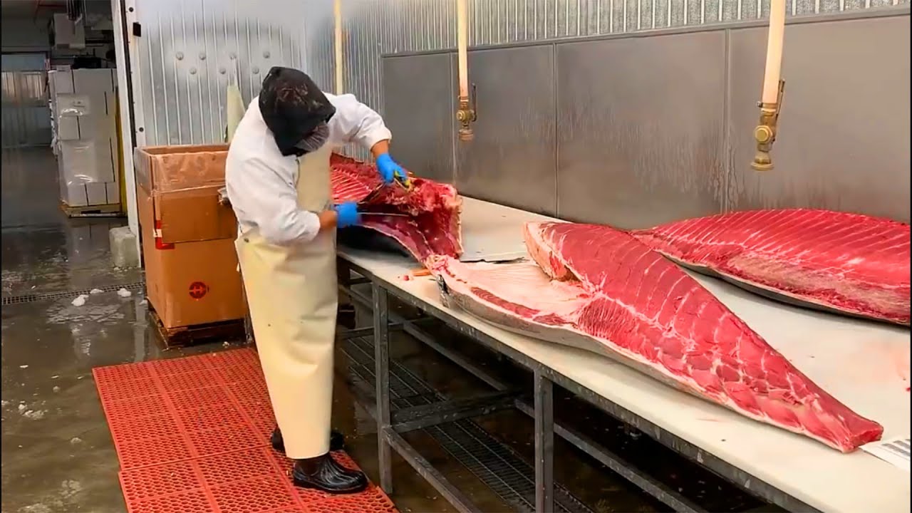 Best Big Fish Cutting Skills | Cutting Tuna | Fast Extreme Skill ...