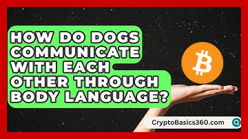 How Do Dogs Communicate With Each Other Through Body Language? | Obedient Dog Guide
