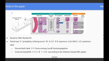 PR-286: Clinical-grade computational pathology using weakly supervised deep learning on WSIs