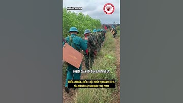 Đã Đi Dân Quân Tự Vệ Thì Có Phải Đi Nghĩa Vụ Quân Sự Không? | THƯ VIỆN PHÁP LUẬT