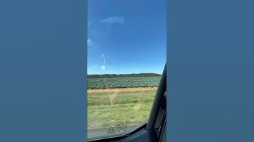 The return of the old-school L.E.D cell phone tower duo in Trenton, South Carolina