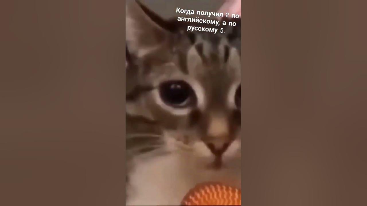 Русский лёгкий урок - YouTube