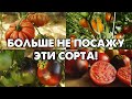 ЭТИ ТОМАТЫ БОЛЬШЕ НИКОГДА НЕ ПОСАЖУ! НАДЕЖДЫ НЕ ОПРАВДАЛИСЬ!