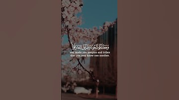 سورة الحجرات ﴿ يَا أَيُّهَا النَّاسُ إِنَّا خَلَقْنَاكُمْ مِنْ ذَكَرٍ وَأُنْثَى