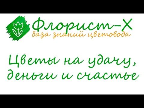 10 растений на удачу, деньги и семейное счастье