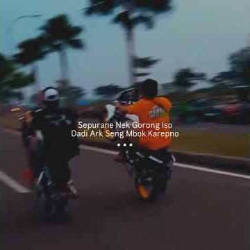 story Tiger herex #shorts