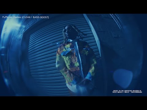 Future PUFFIN ON ZOOTIEZ CLEAN BASS BOOST 