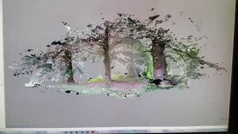Example of tree grove 3D mesh (Lincoln City) Photogrammetry