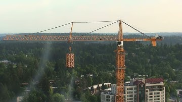 Crane Building Itself