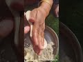 2024 Asmr Trending Latest Roti Makkediroti Chapati Easyrecipe Shorts 2024 Asmr Trending Latest Roti Makkediroti Chapati Easyrecipe Shorts