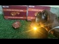 NEUTON WATER SENSOR DIYA LAMP