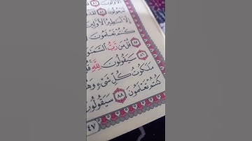 سوره المؤمنون الجزء الثامن عشر الشيخ ياسر الدوسري