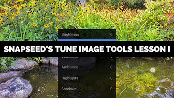How To Use The Tune Image Tools In Snapseed From Google
