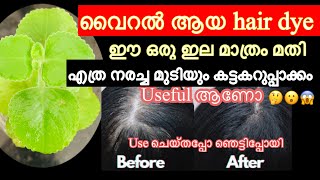 വൈറൽ ആയ hair dye Use ചെയ്തിട്ടുള്ള റിസൾട്ട് കണ്ടു  ഞെട്ടി / Natural Hair Dye