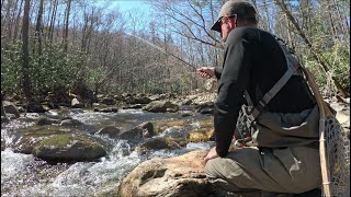 Day2 | HOT Dry Fly Fishing | Backcountry camping | Pisgah National Forest | North Carolina