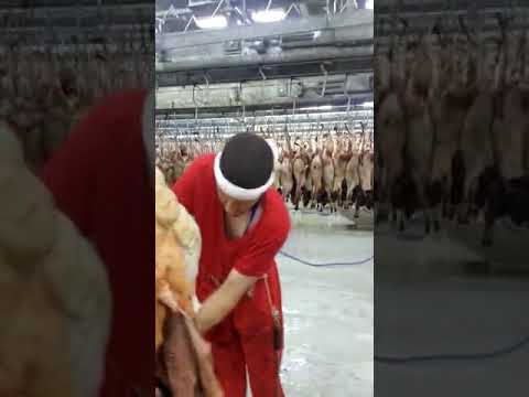 مجازر ذبح الأضاحي بمكة 2022 