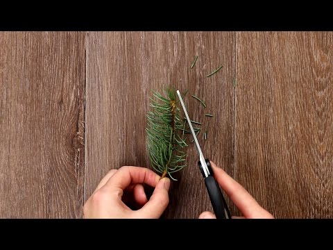Video: DIY Weihnachtsbaum Dekorationsideen