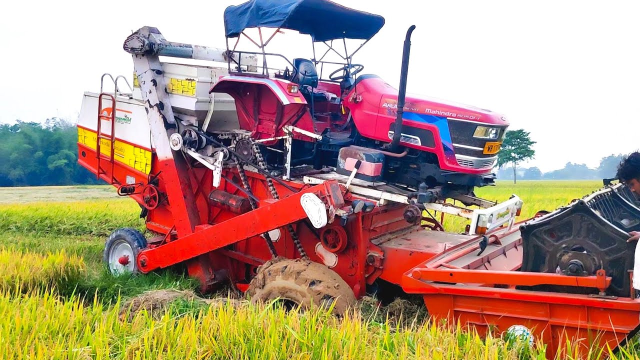 dhan katai gadi ফেঁসে গেছে JCB দিয়ে ওঠানো হবে TRACTOR BANGLA YouTube