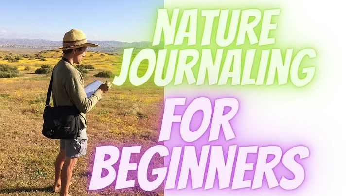Nature Journaling For Beginners: LIVE on the Natur...