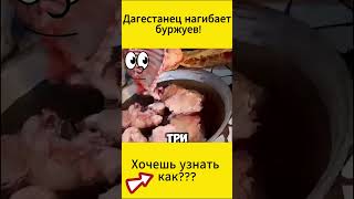 Дагестанец нагибает буржуев.#shorts #истории