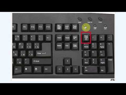 toshiba laptop mouse pad not working windows 10 toshiba laptop mouse pad not working windows 10