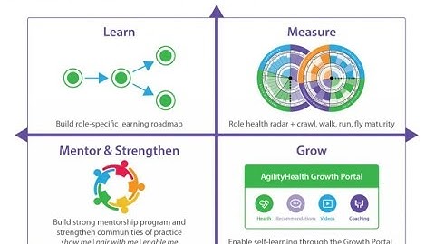 Why I started my Agile Mentorship Program popularly called as AMP (Edited Video Version of it  here)