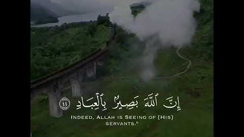وَأُفَوِّضُ أَمْرِي إِلَى اللَّهِ ۚ إِنَّ اللَّهَ بَصِيرٌ بِالْعِبَادِ (44) سورة غافر