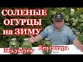 Соленые огурцы на зиму без премудростей и секретов Засолка огурцов без уксуса и сахара