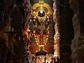 Srinivasa Govinda Sri Venkatesa Govinda 🙏🏻 #balaji #govinda #narayan #tirumala #tirupati #perumal